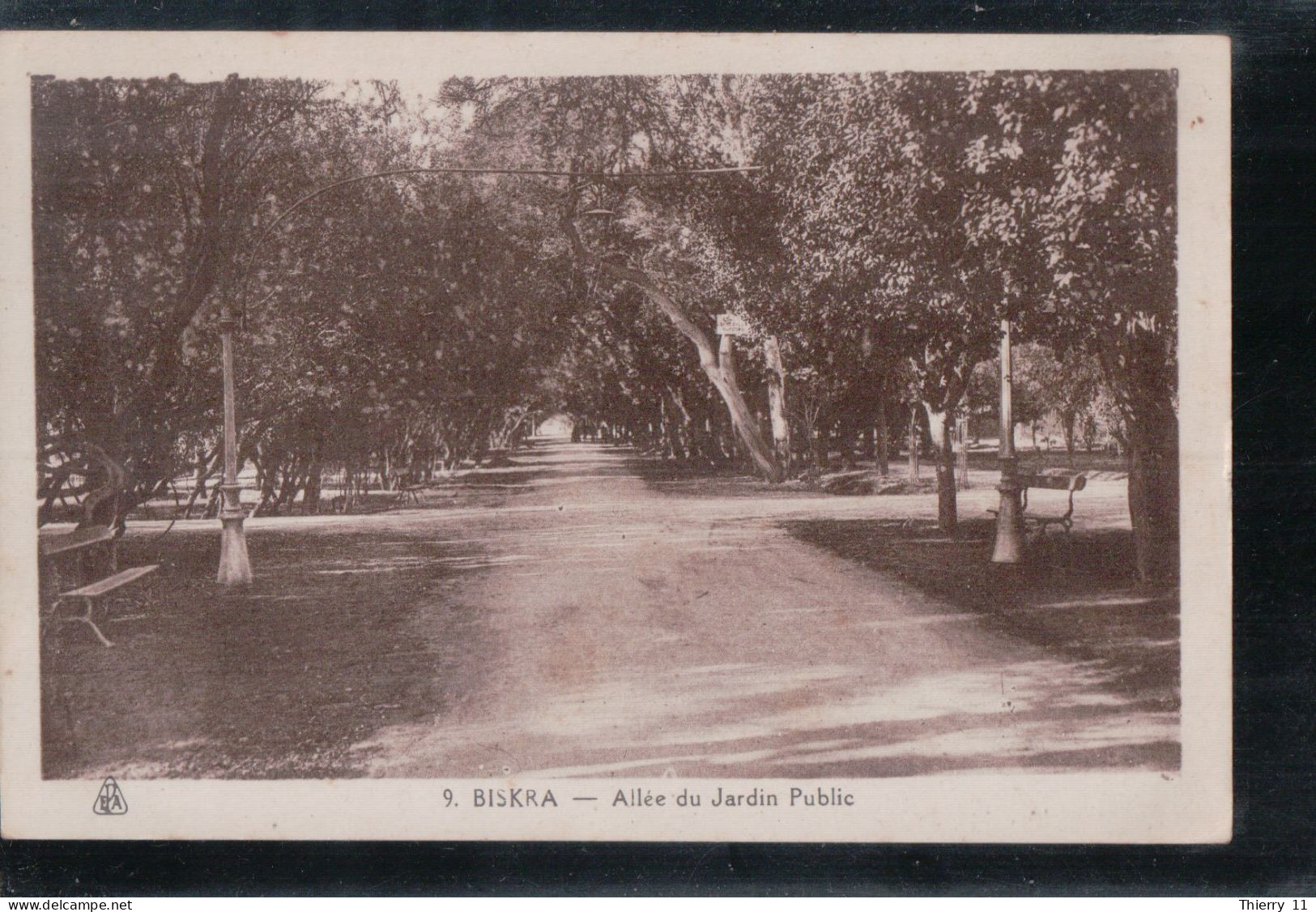 Cpa Biskra Allée Du Jardin Public - Biskra