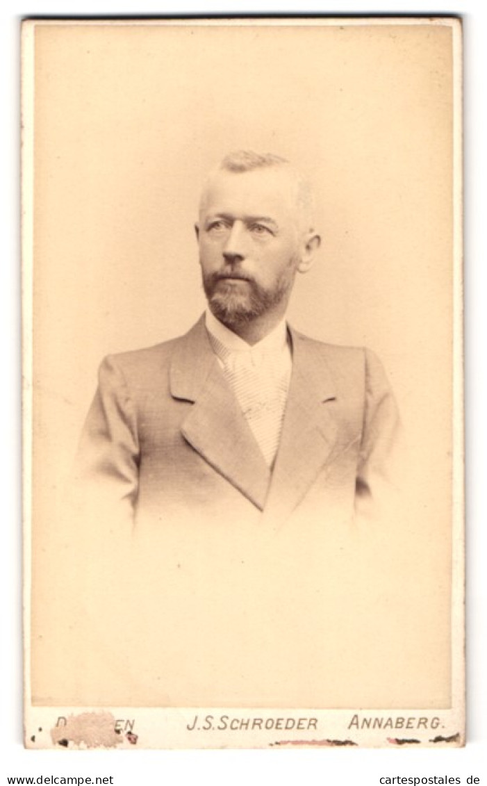 Fotografie J. S. Schroeder, Dresden, Reissigerstrasse 46, Portrait Stattlicher Herr Im Anzug Mit Vollbart  - Anonyme Personen