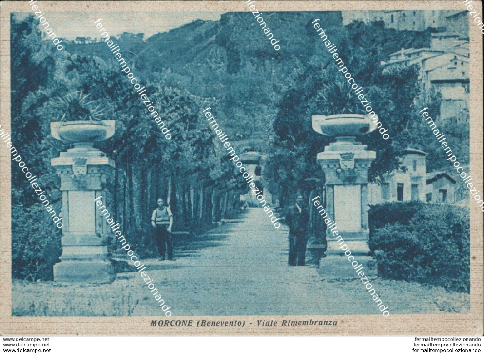 Bn614 Cartolina Morcone Viale Rimbembranza Provincia Di Benevento - Benevento