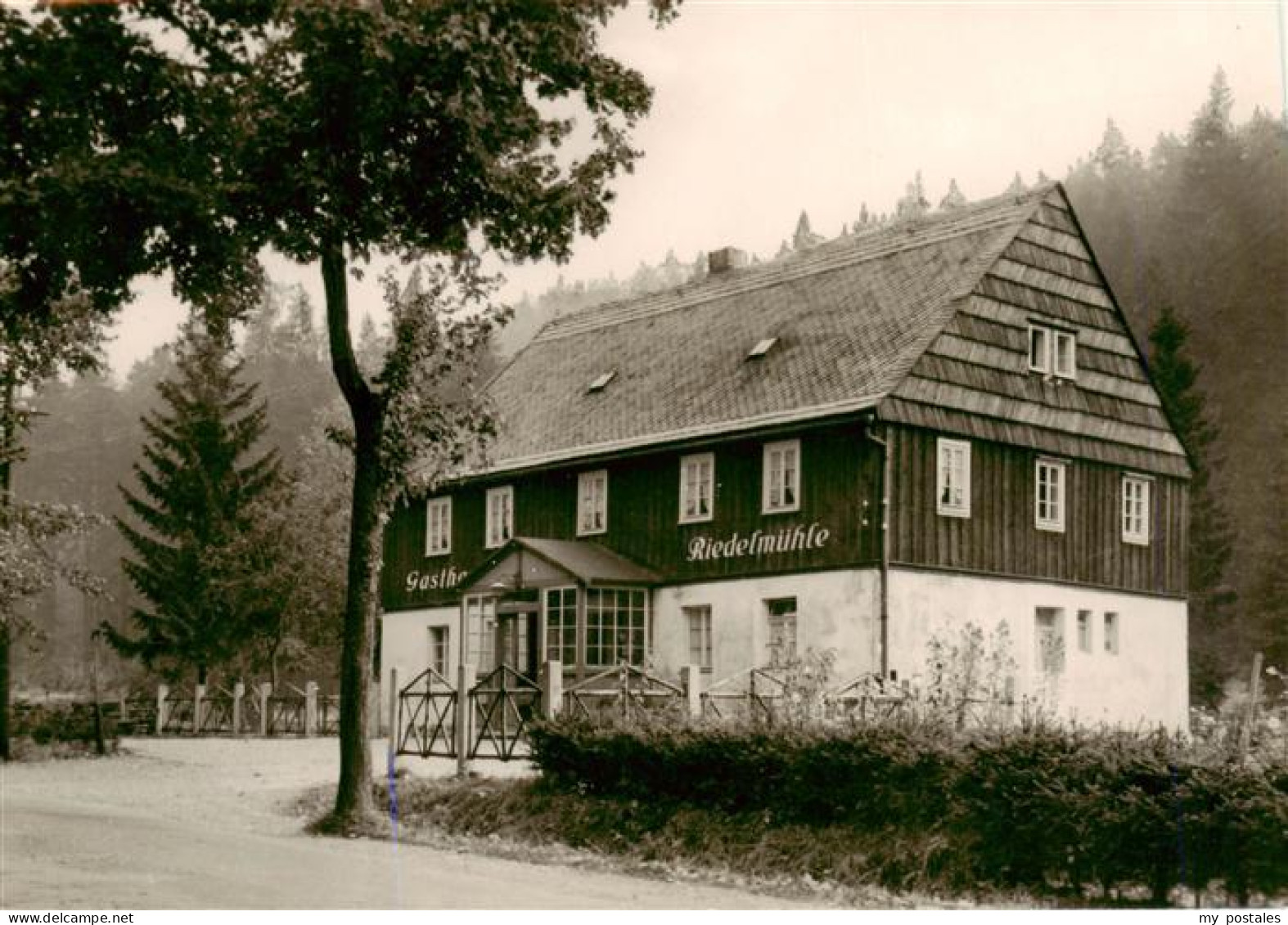 73905530 Waldbaerenburg Gasthaus Riedelmuehle - Altenberg