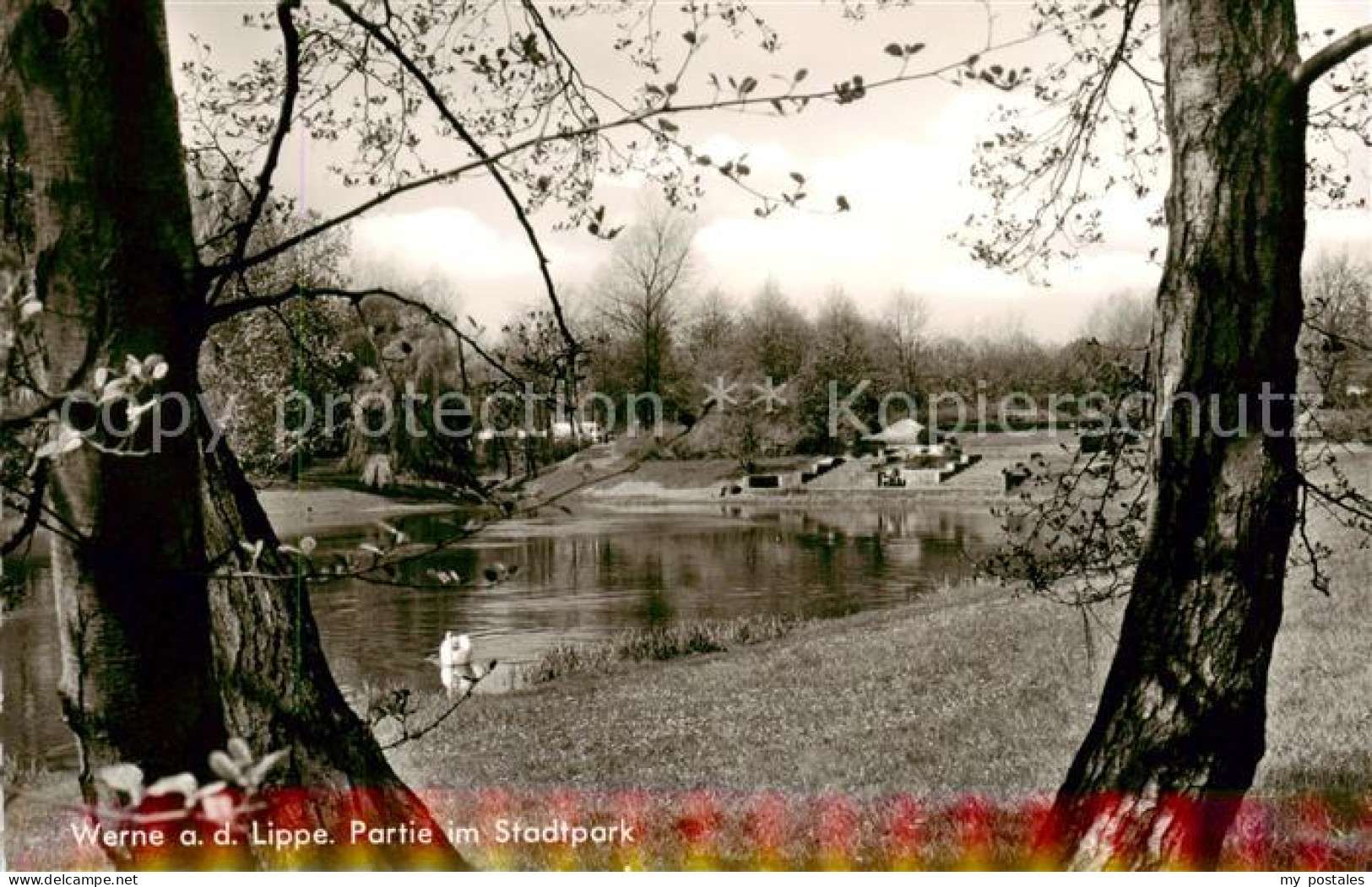 73832441 Werne  Lippe Muenster Westfalen Partie Im Stadtpark  - Muenster