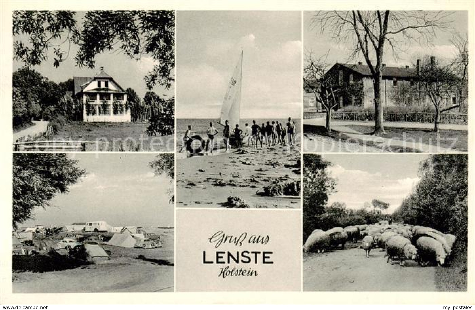 73832422 Lenste Holstein Teilansichten Campingplatz Schafherde Strandvergnuegen  - Groemitz