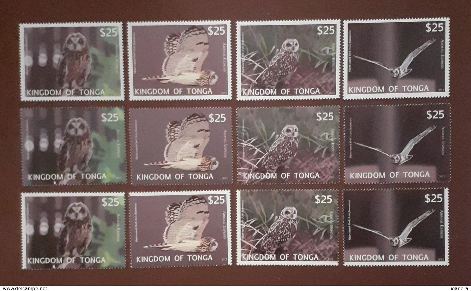 Tonga 2012 - Fauna , Birds , Owls , Complete Series 12 Values , Perforated , MNH,Mi.Bl.1793-1804 - Tonga (1970-...)