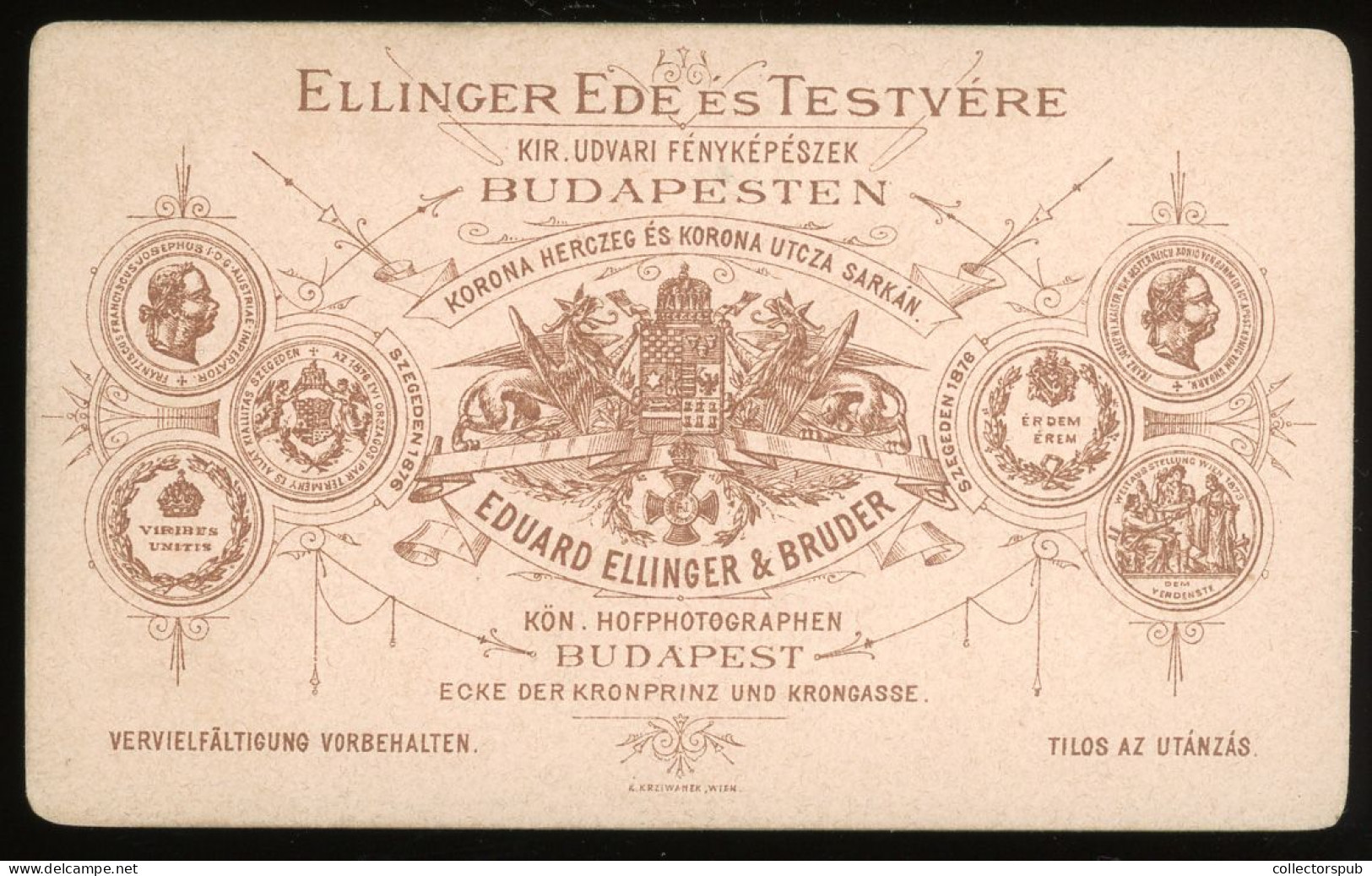 HUNGARY Budapest, Ellinger 1880 Ca.   Nice Cdv Photo - Anciennes (Av. 1900)