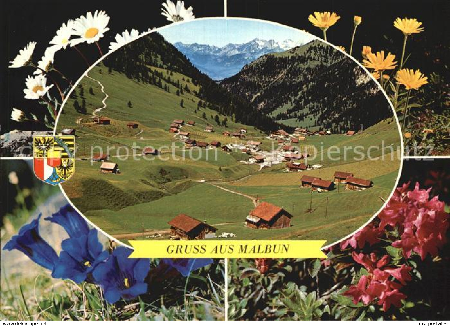 72579500 Malbun Panorama Alpenflora Triesenberg Liechtenstein