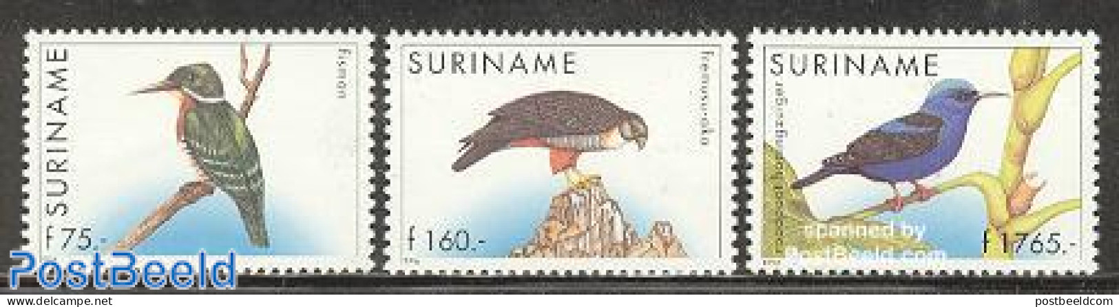 Suriname, Republic 1996 Birds 3v (75g,160g,1765g), Mint NH, Nature - Birds - Surinam