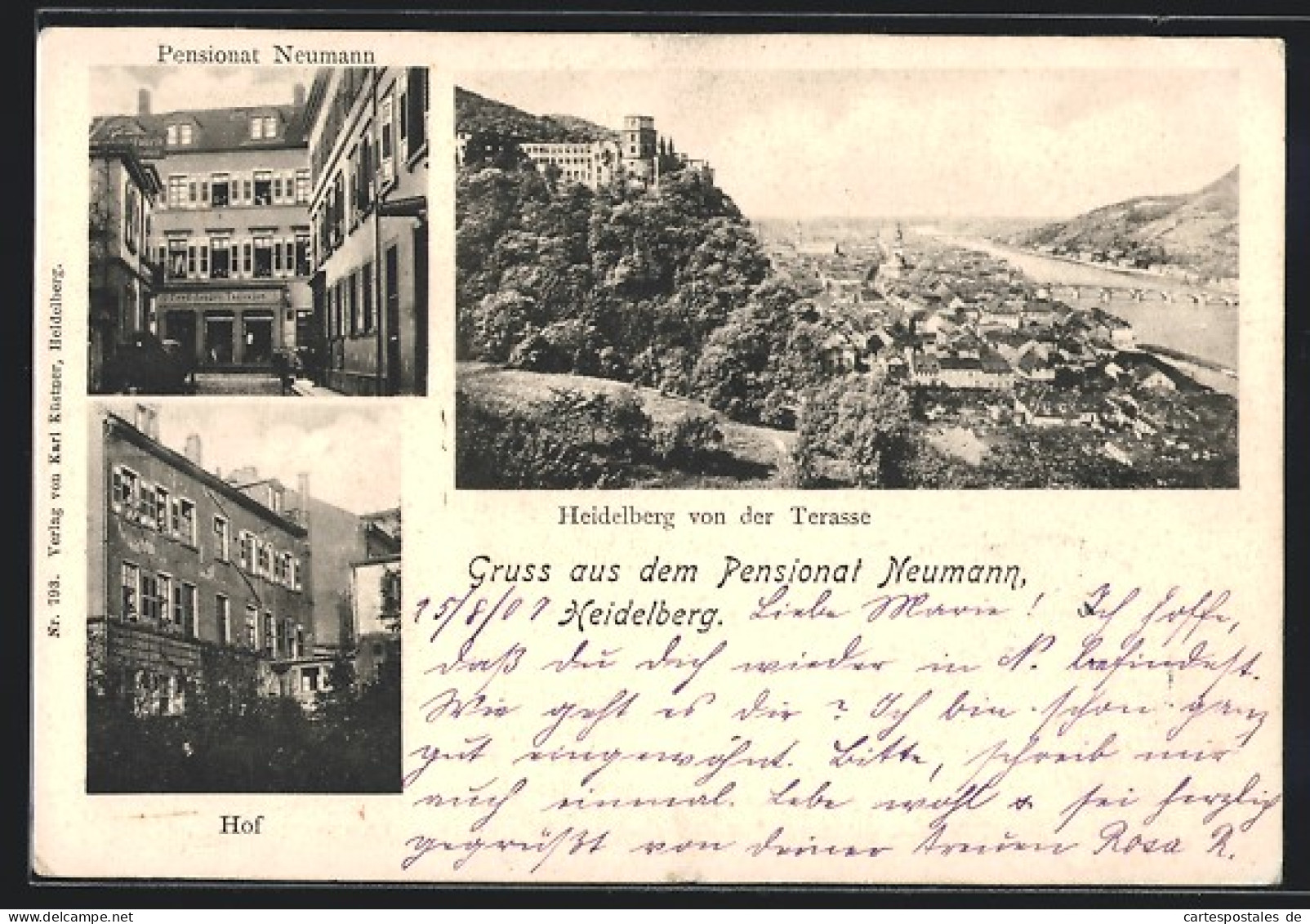 AK Heidelberg, Pensionat Neumann, Hof, Teilansicht Von Der Terrasse Aus  - Heidelberg
