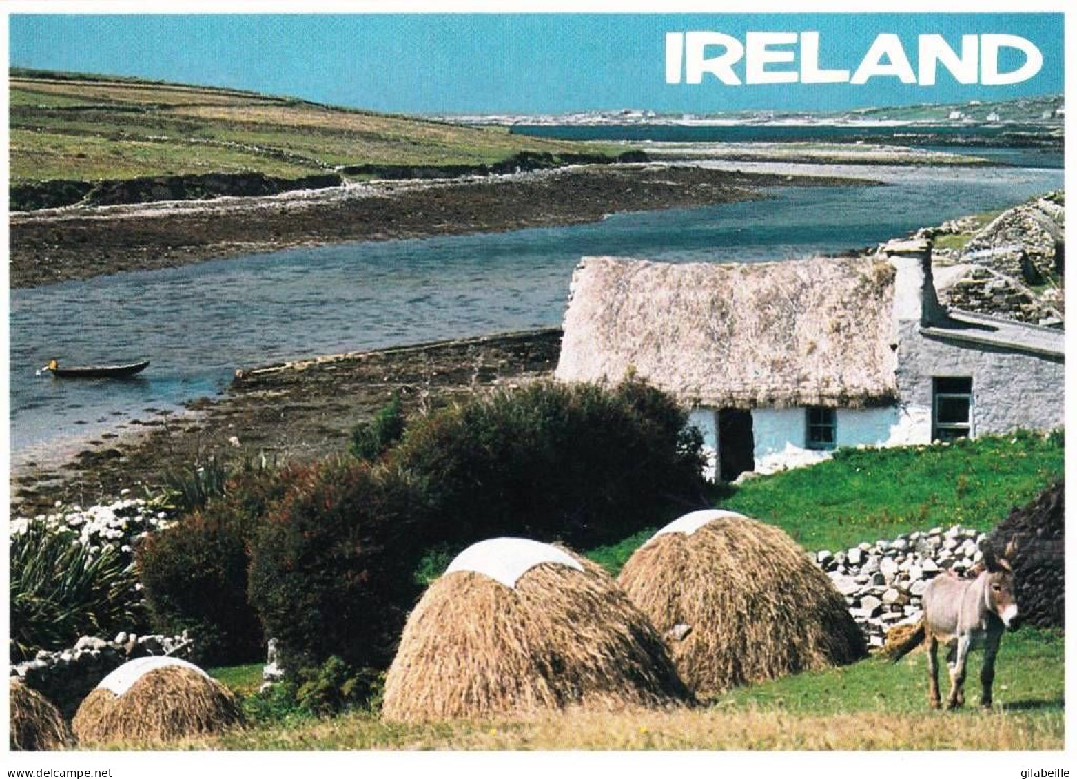 Eire - Ireland -  traditional Irish cotage on the Connemara - Co Galway