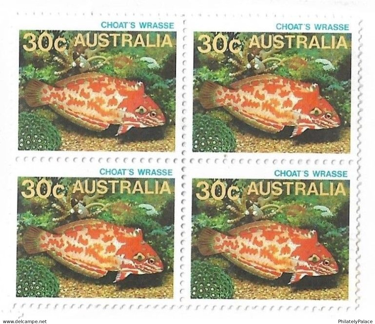 Australia 1984 Olympics,Los Angeles,Tokyo Olympic 2020,Fish Wrasse,Cover To India (**) Inde Indien - Lettres & Documents