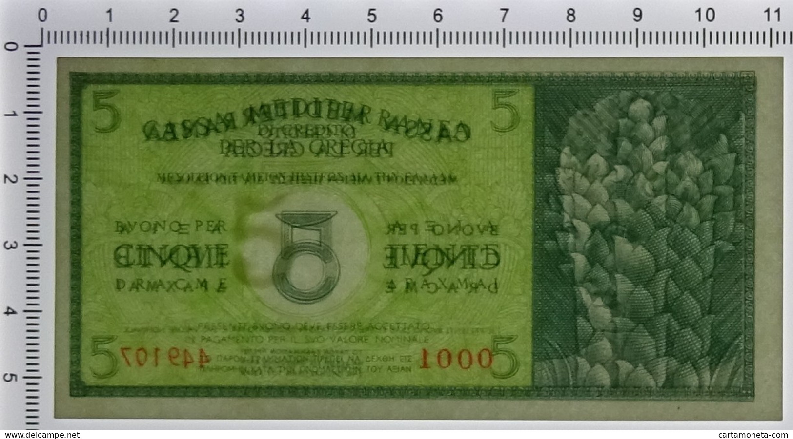 5 DRACME CASSA MEDITERRANEA DI CREDITO PER LA GRECIA 1941 FDS-/FDS - Altri & Non Classificati