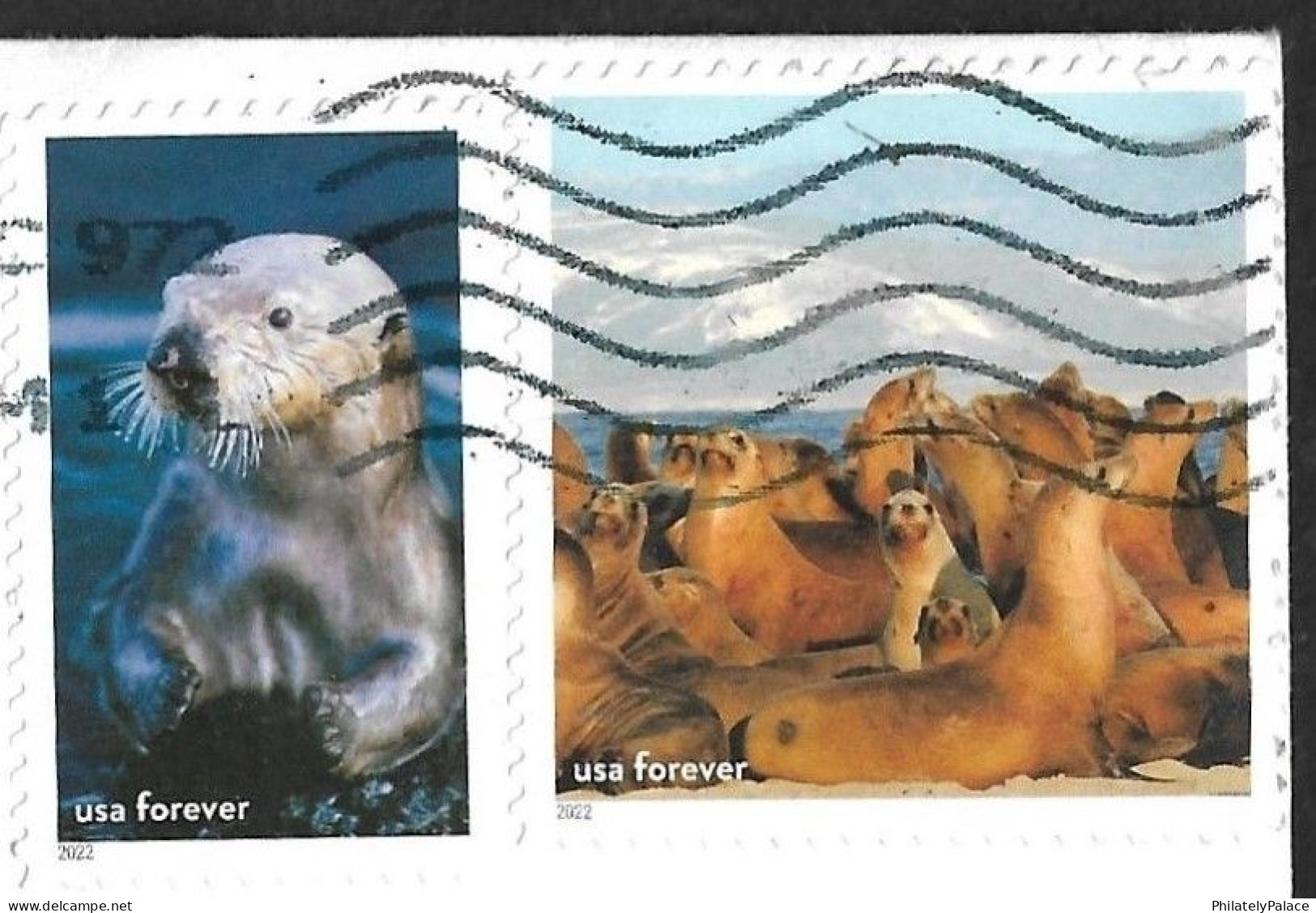 USA 2022 California Sea Lion,National Marine Sanctuaries,Save Soil,Earth,Crop,Food,Address To India (**) Indien Inde - Cartas & Documentos