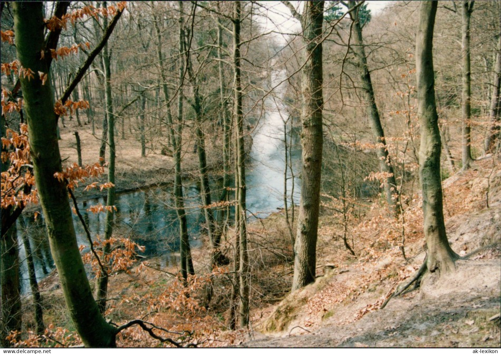 Foto Bad Bevensen Im Wald Am Fluss 1996 Privatfoto  - Bad Bevensen