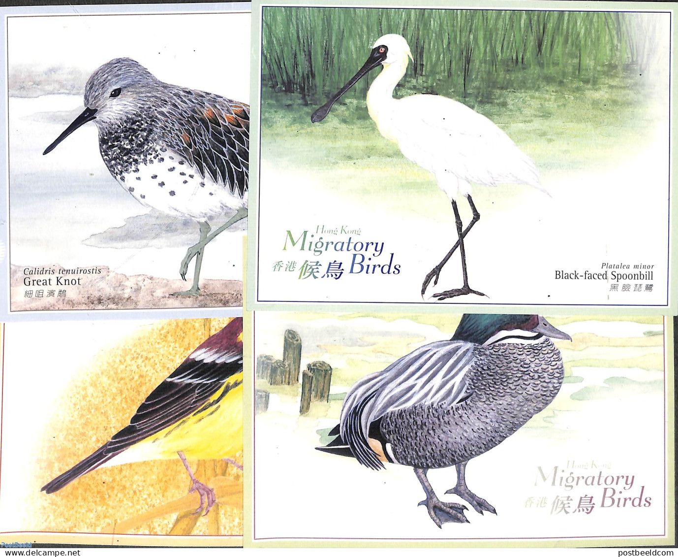 Hong Kong 2000 Illustrated Postcard Set Birds (4 Cards), Unused Postal Stationary, Nature - Birds - Covers & Documents