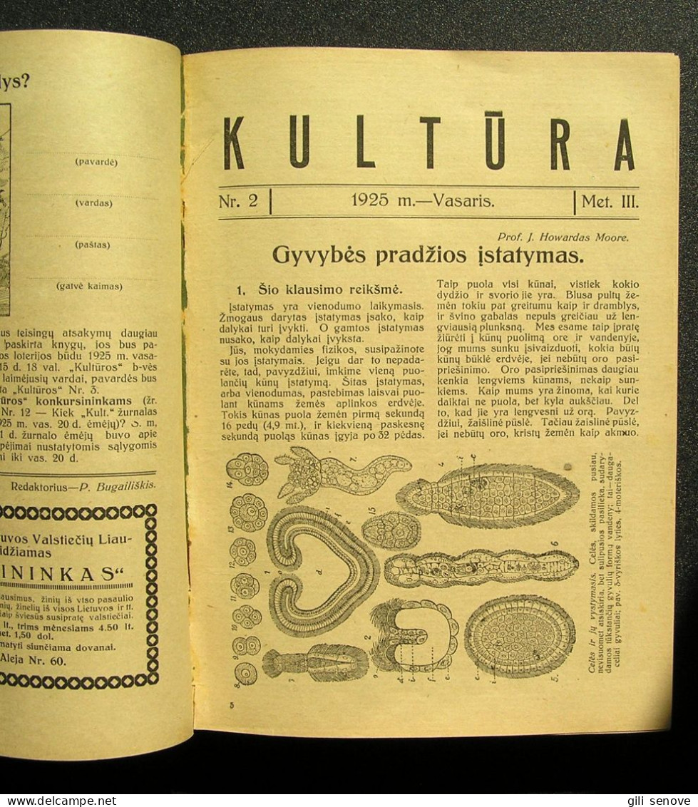 Lithuanian Magazine / Kultūra 1925 Complete - General Issues