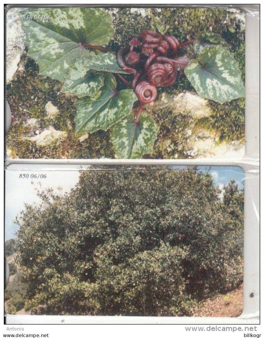 CYPRUS - Flowers, Cyclamen/Golden Oak, Collector"s Cards No 12-13, Tirage 850, 06/06, Mint - Chypre