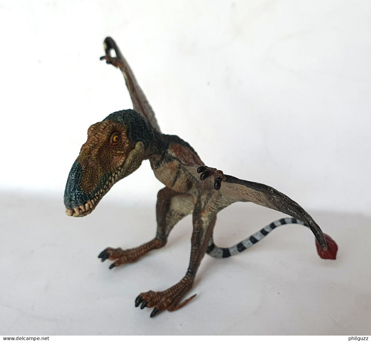 FIGURINE Dinosaure PAPO 2017 DIMORPHODON Machoire Amovible - Other & Unclassified