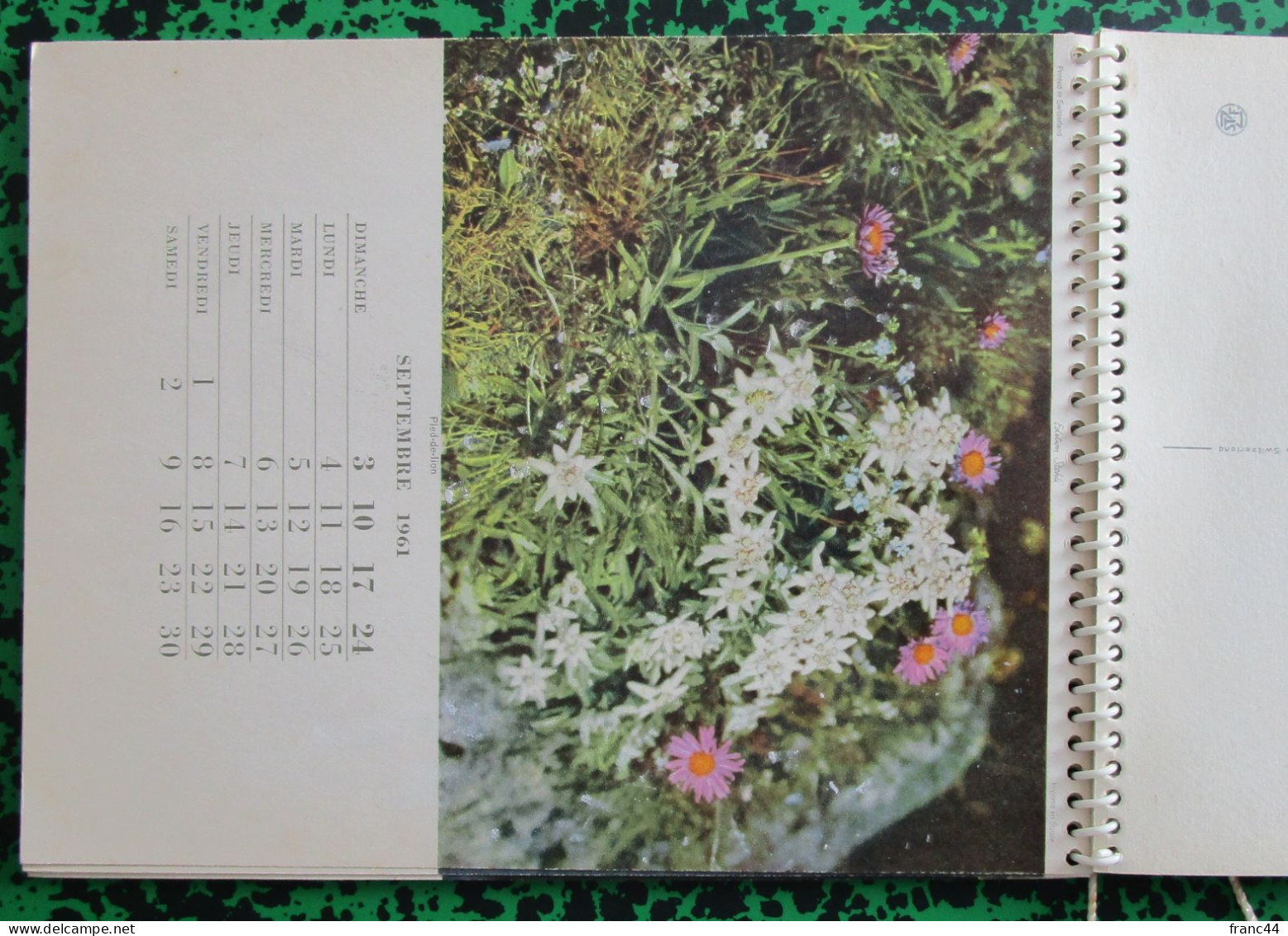 Calendrier (état Neuf) De 1961 : Thème Fleurs Des Alpes Et Des Jardins - Voir Description - Grossformat : 1961-70