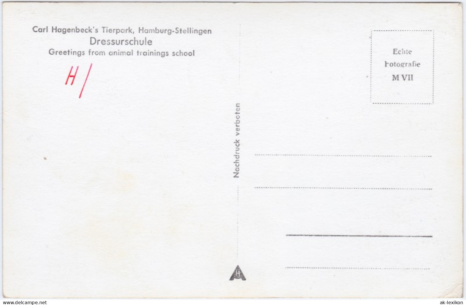 Ansichtskarte Stellingen-Hamburg Dressurschule - Stellingen - Hagenbeck 1965  - Stellingen