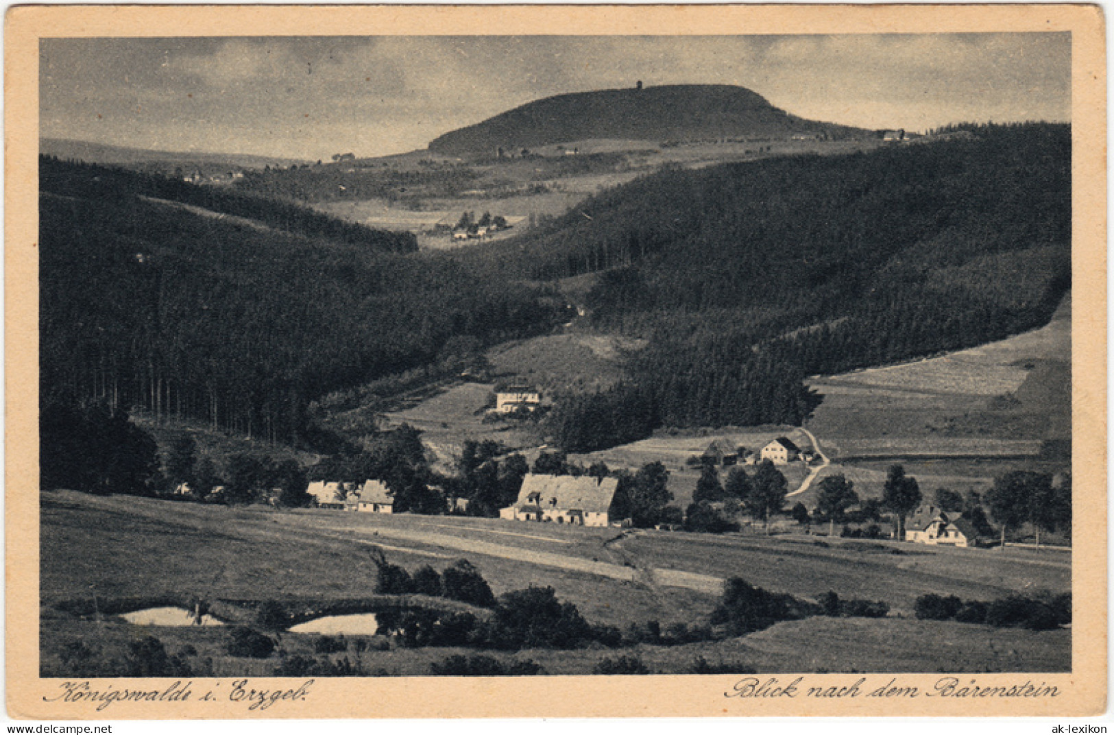 Ansichtskarte Königswalde (Erzgebirge) Blick Auf Die Stad 1930  - Königswalde