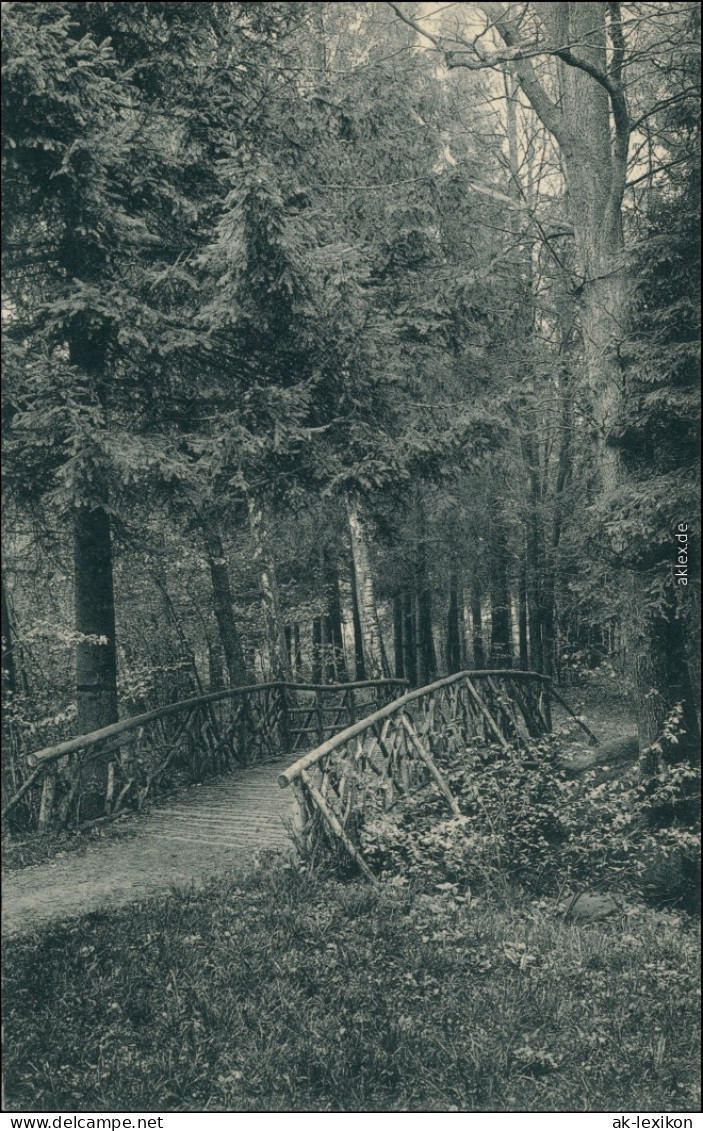 Großschweidnitz (OL) Swóńca Kgl. Landesanstalt - Park 1915  - Grossschweidnitz