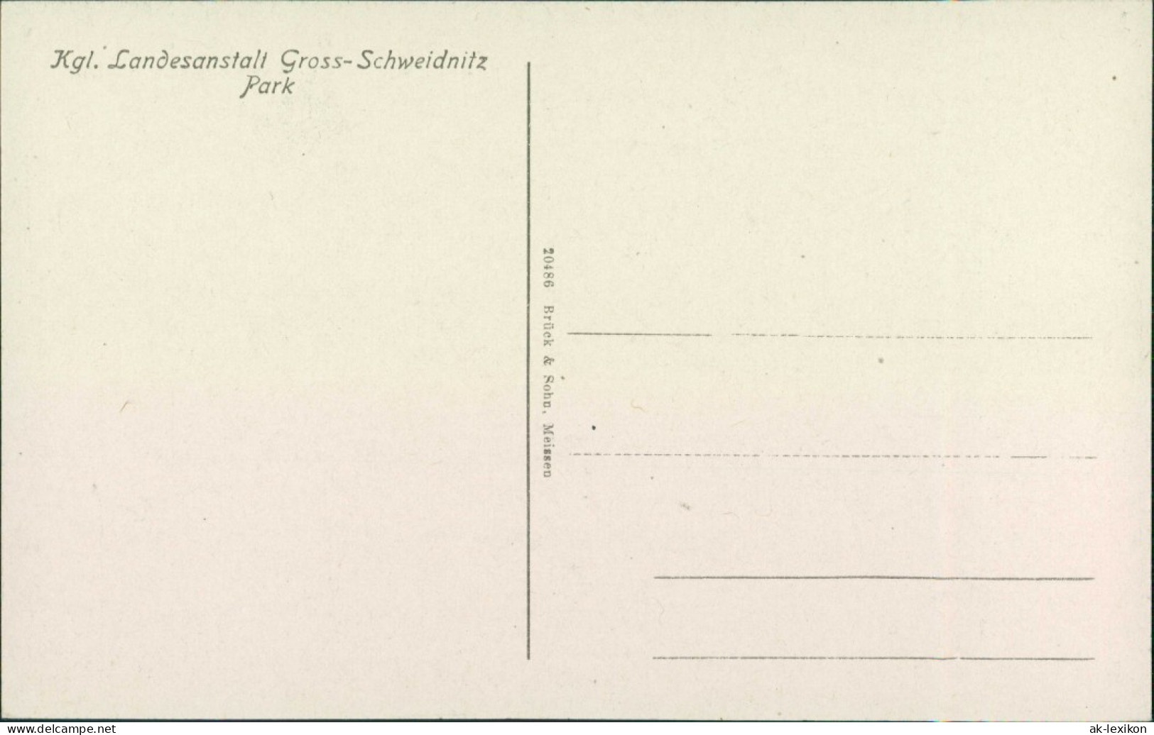 Großschweidnitz (OL) Swóńca Kgl. Landesanstalt - Park 1915  - Grossschweidnitz