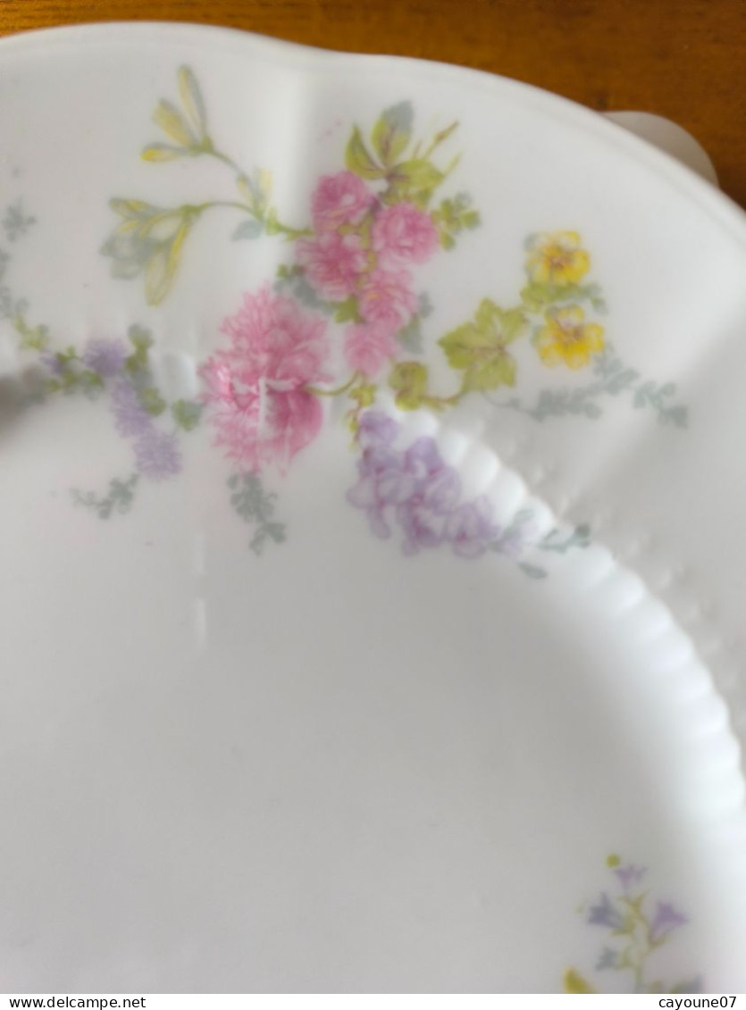 Charles  Ahrenfeldt six assiettes plates porcelaine de Limoges décor floral  vers 1900 n°2