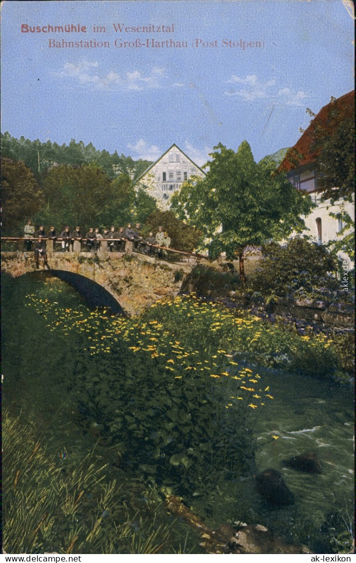 Großharthau Partie And Der Buschmühle Ansichtskarte 
1918 - Grossharthau