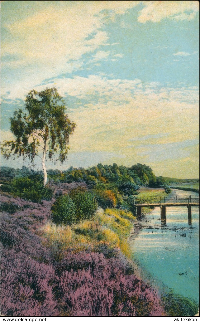 Ansichtskarte Waldenburg (Sachsen) Fluss - Blühende Heidelandschaft 1916 - Waldenburg (Sachsen)