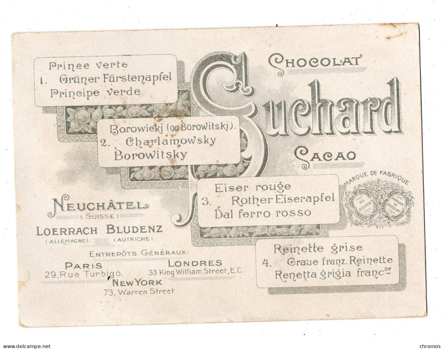 Chromo Chocolat Suchard, S 81 / Ll, Pommes, Dos Gris - Suchard