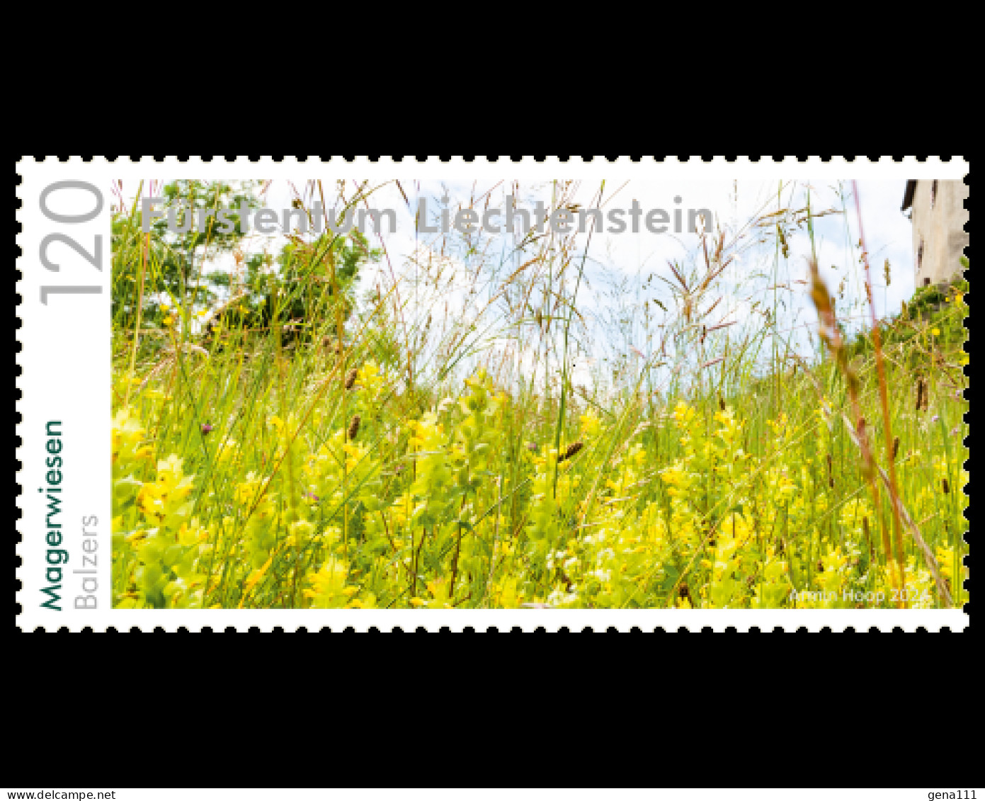 Panorama - Natural Meadows 4-stamps Liechtenstein 2024 - Nuovi