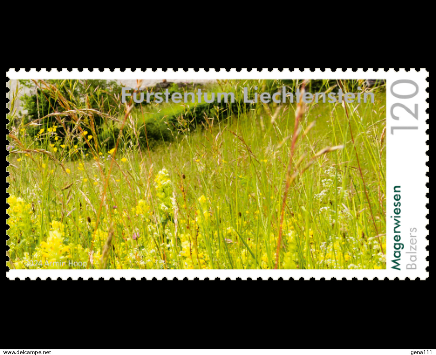 Panorama - Natural Meadows 4-stamps Liechtenstein 2024 - Nuovi