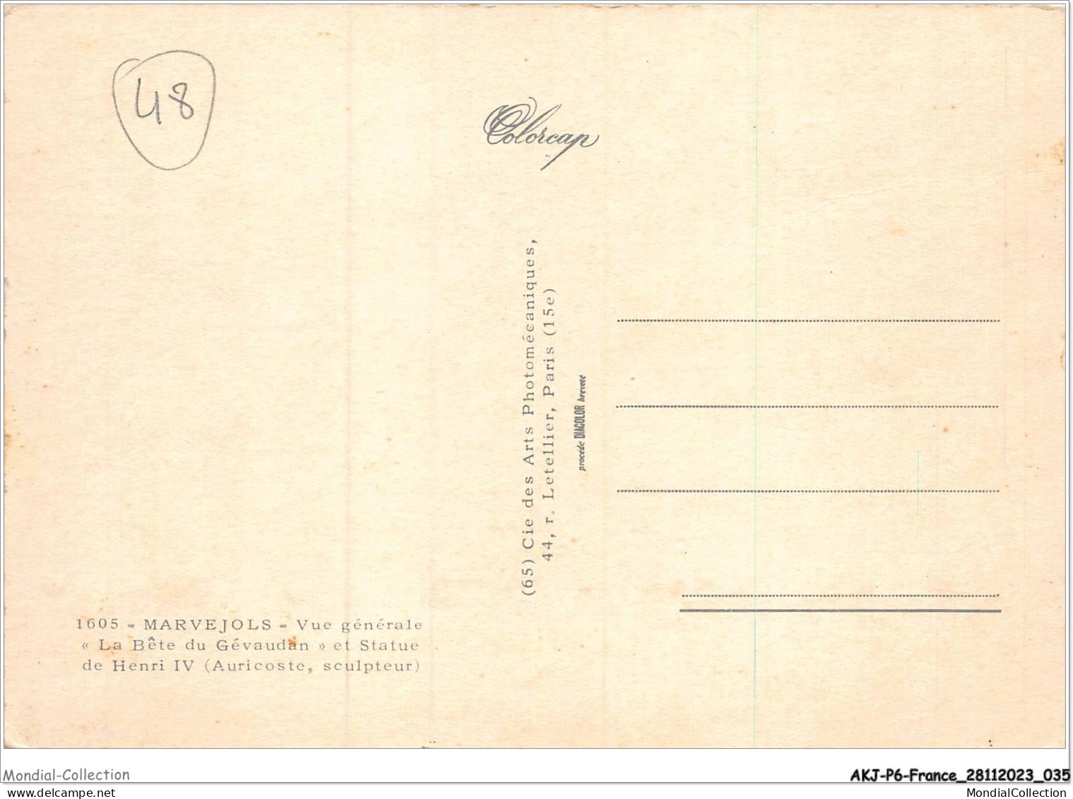 AKJP6-0541-48 - MARVEJOLS - Vue Générale - La Bete Du Gevaudan Et Statue De Henri Iv - Marvejols