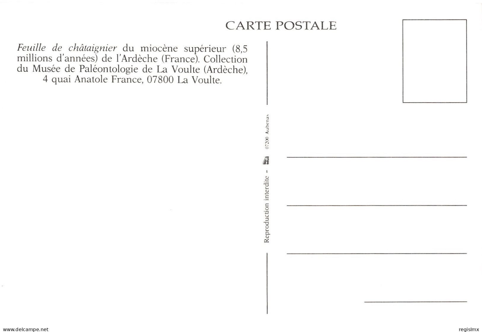 07-LA VOULTE SUR RHONE-MUSEE DE PALEONTOLOGIE-N°2836-A/0187 - La Voulte-sur-Rhône