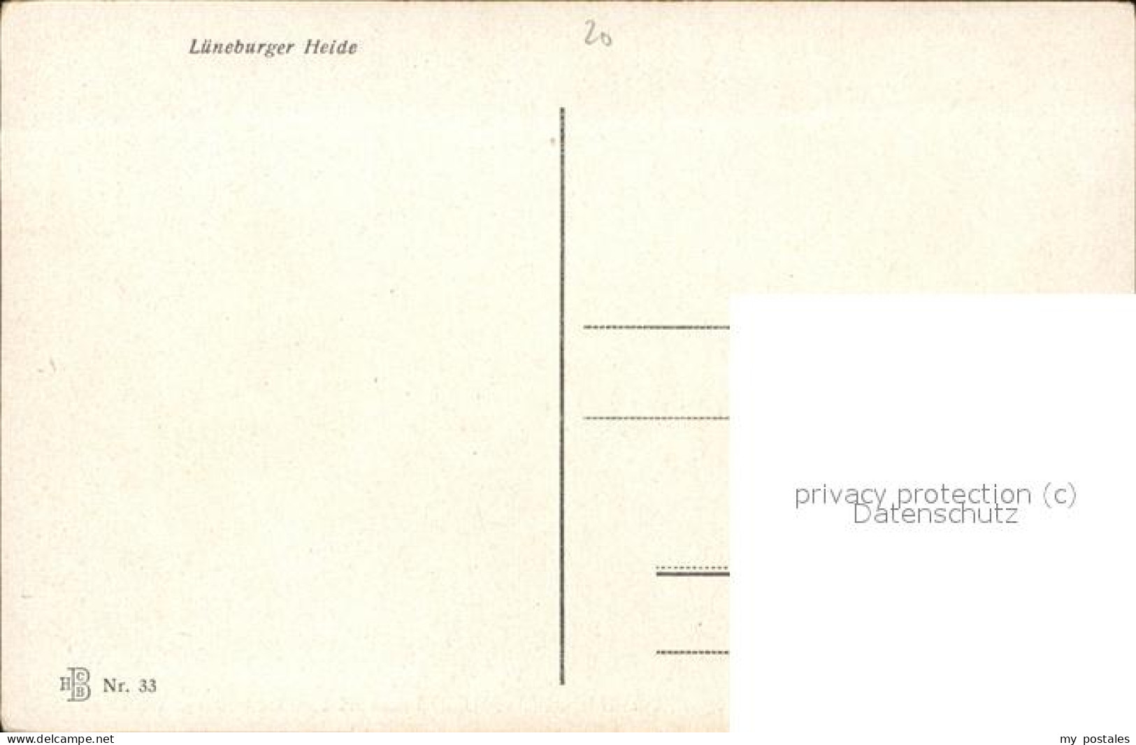 71525188 Lueneburger Heide Heidelandschaft Walsrode - Walsrode