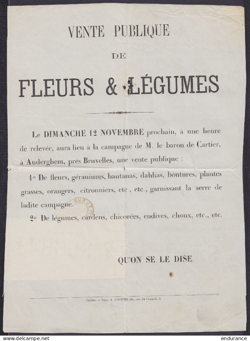 Imprimé "Vente Publique De Fleurs & Légumes" Affr. N°26 Càd Oval "PD /8 NOV.1876/ BRUXELLES" (Imprimés) Pour AUDERGHEM P - 1869-1888 León Acostado