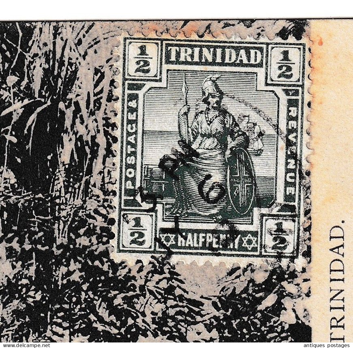 Post Card Trinidad Trinité Et Tobago Bamboo Bambous Halfpenny Hôtel De Paris Deslandes - Trindad & Tobago (...-1961)