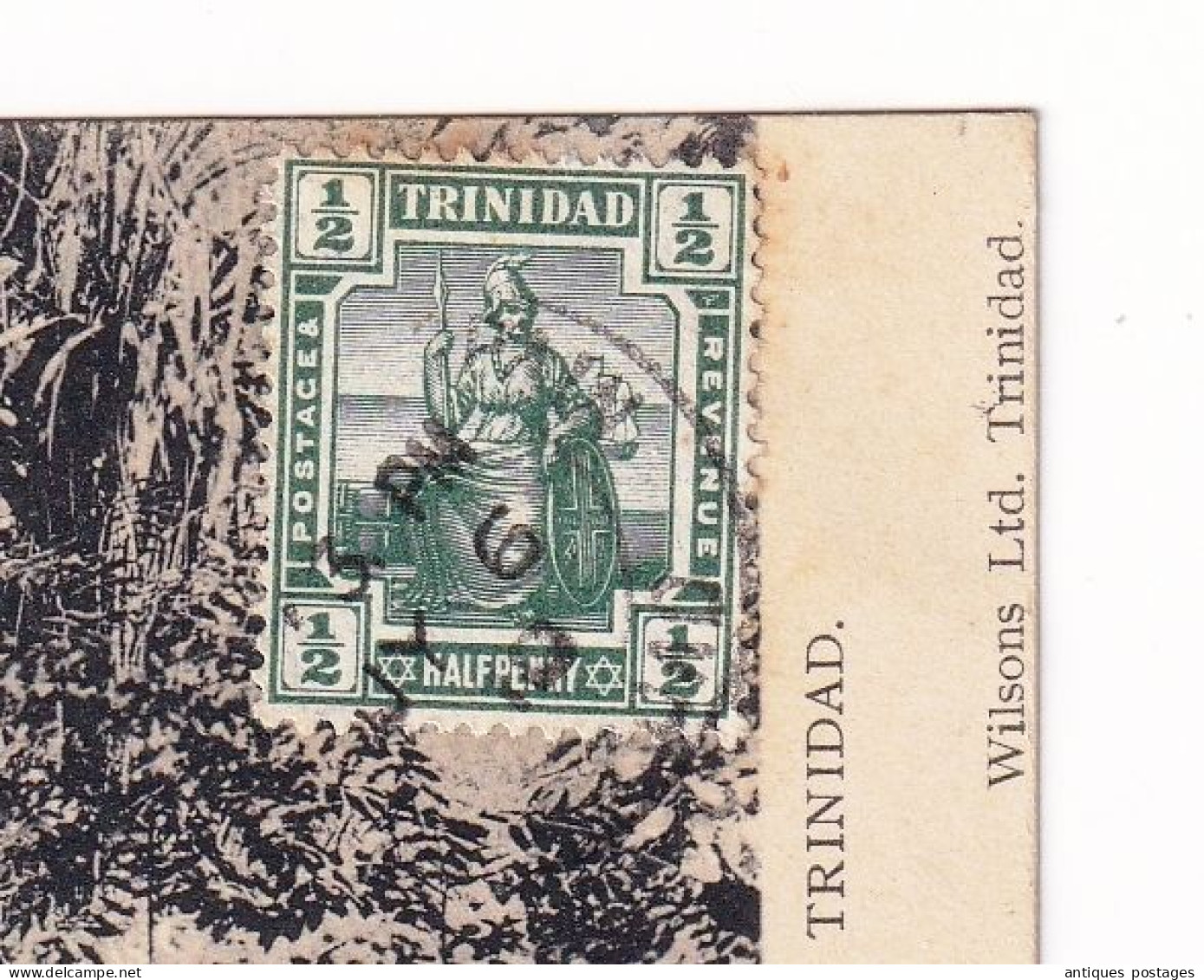 Post Card Trinidad Trinité Et Tobago Bamboo Bambous Halfpenny Hôtel De Paris Deslandes - Trindad & Tobago (...-1961)