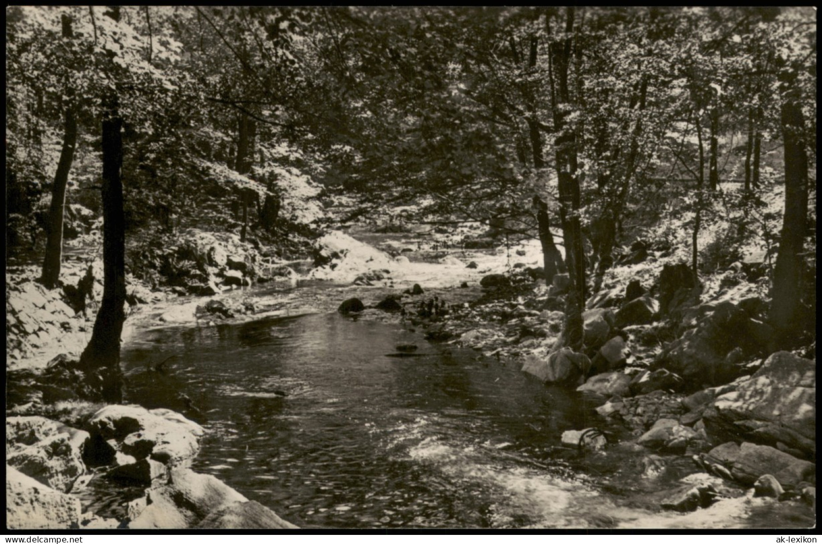 Ansichtskarte Rabenau Rabenauer Grund Bachlauf 1960 - Rabenau