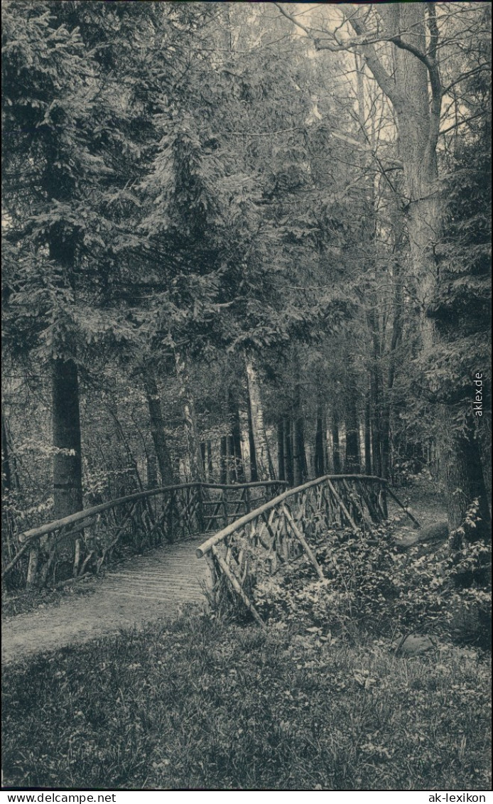 Großschweidnitz (OL) Swó&#324;ca Kgl. Landesanstalt - Park 1913  - Grossschweidnitz