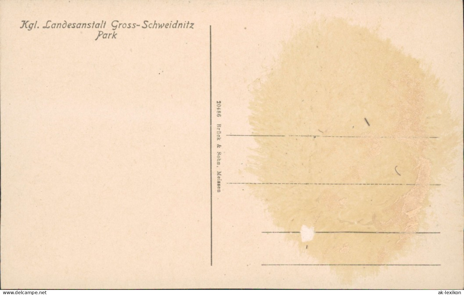 Großschweidnitz (OL) Swó&#324;ca Kgl. Landesanstalt - Park 1913  - Grossschweidnitz