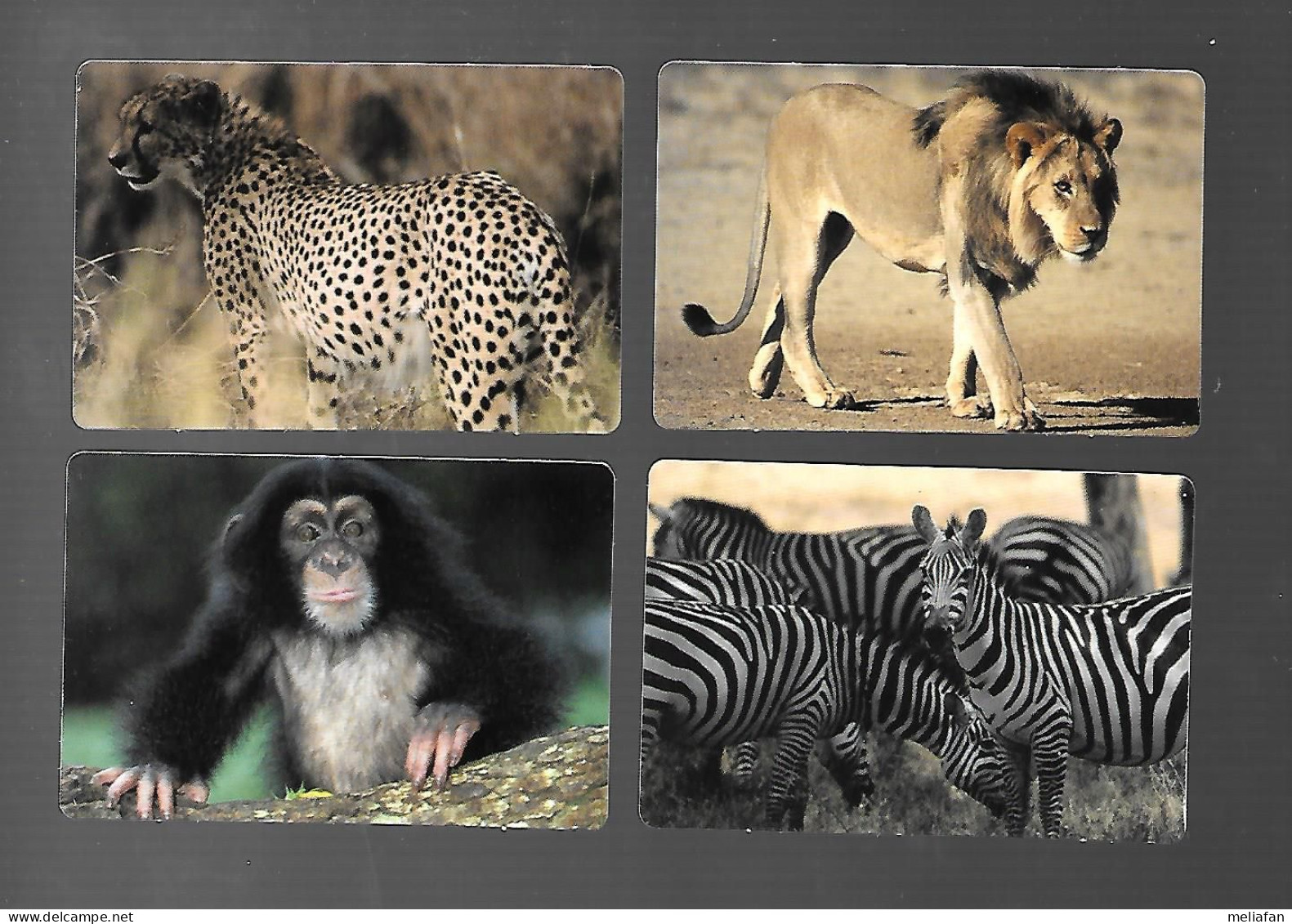 Z407 - VIGNETTES KELLOGGS ANIMAUX + EMPREINTES PLASTIFIEES - GUEPARD ZEBRE CHIMPANZE LION - Other & Unclassified