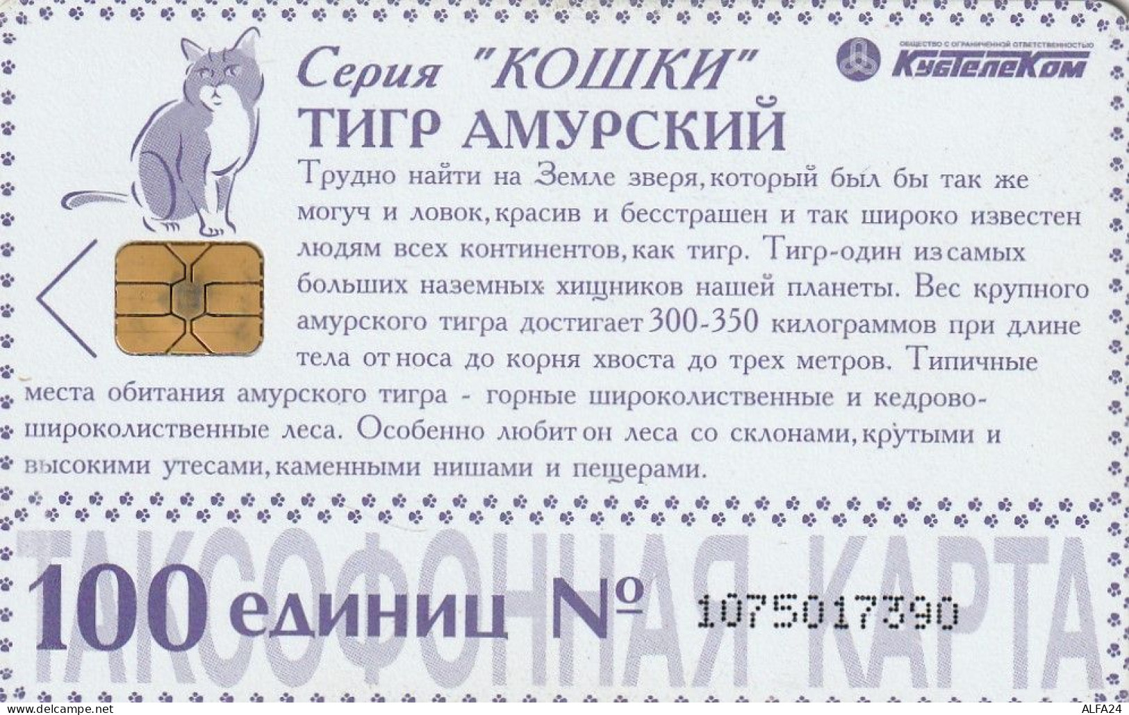 PHONE CARD RUSSIA KUBANELEKTROSVYAZ KRASNODAR (E12.11.3 - Russland