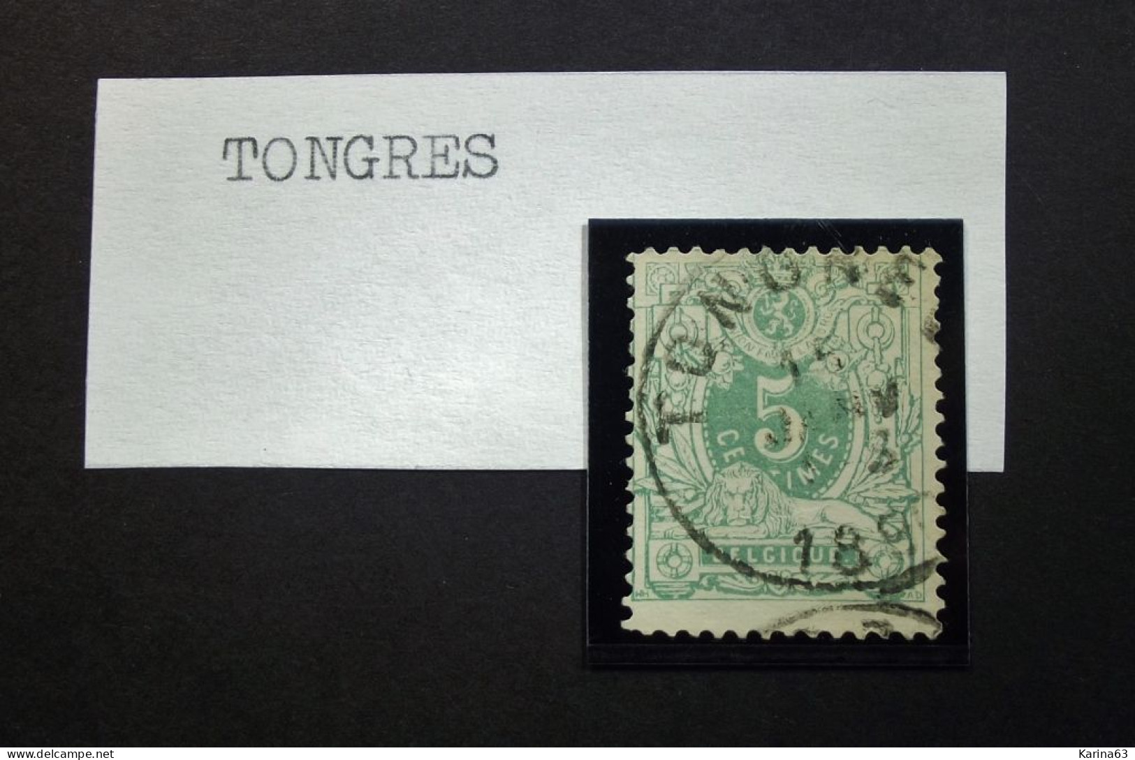 Belgie Belgique - 1884  - COB/OBP  45  -  Gestempeld /obl. Tongres 1890 - 1869-1888 Leone Coricato