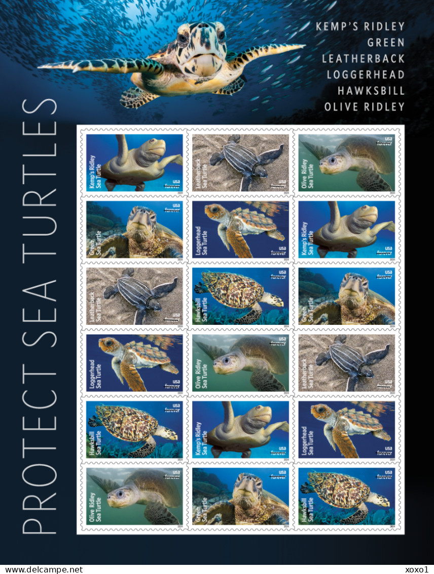 USA 2024 MiNr. XXXX Etats-Unis United States Reptiles, Sea Turtles M/sh MNH **  25.20 € - Nuevos