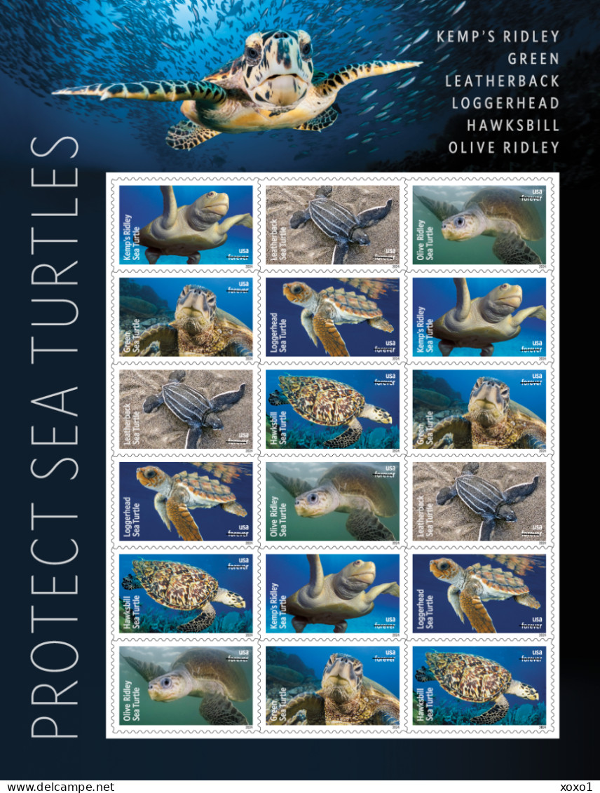 USA 2024 MiNr. XXXX Etats-Unis United States Reptiles, Sea Turtles M/sh MNH **  25.20 € - Ongebruikt