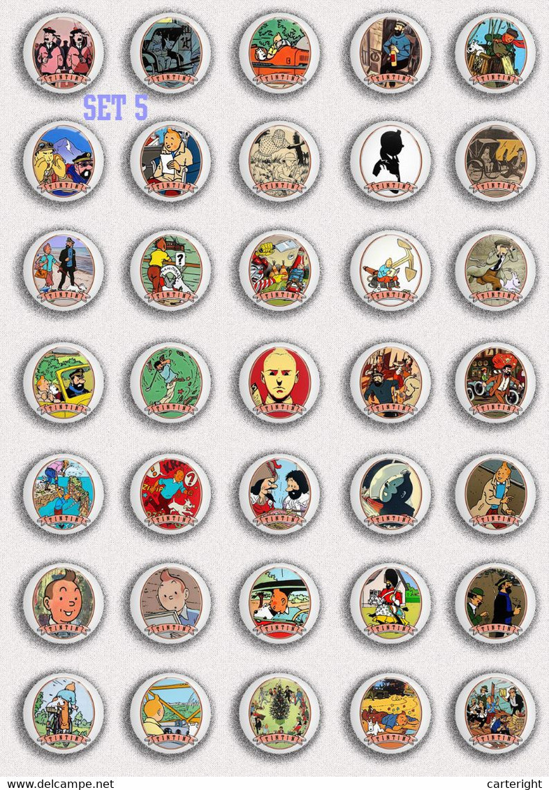 210 x TINTIN BADGE BUTTON PIN SET 5 (1inch/25mm diameter)