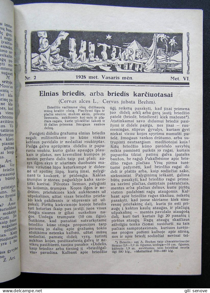 Lithuanian Magazine / Kultūra 1928 Complete - General Issues