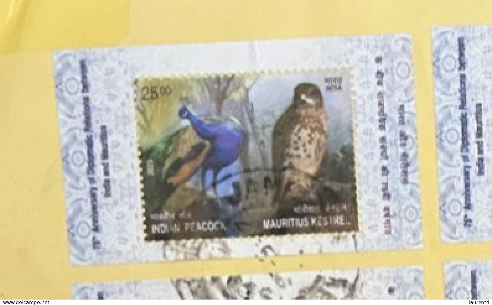 17-6-2024 (70) Large Letter Posted Registered From India To Australia In 2024 (with Many Kestrel Birds)  25  X 20 Cm - Cartas & Documentos
