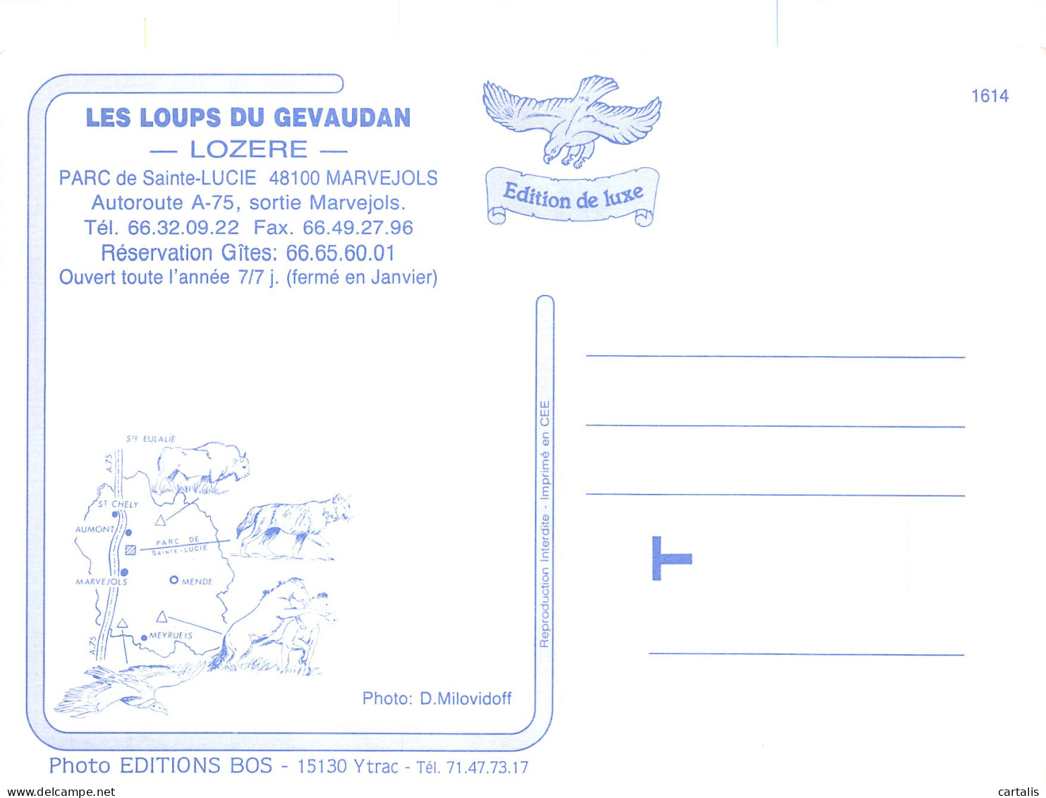 48-MARVEJOLS-N°C-4338-D/0193 - Marvejols