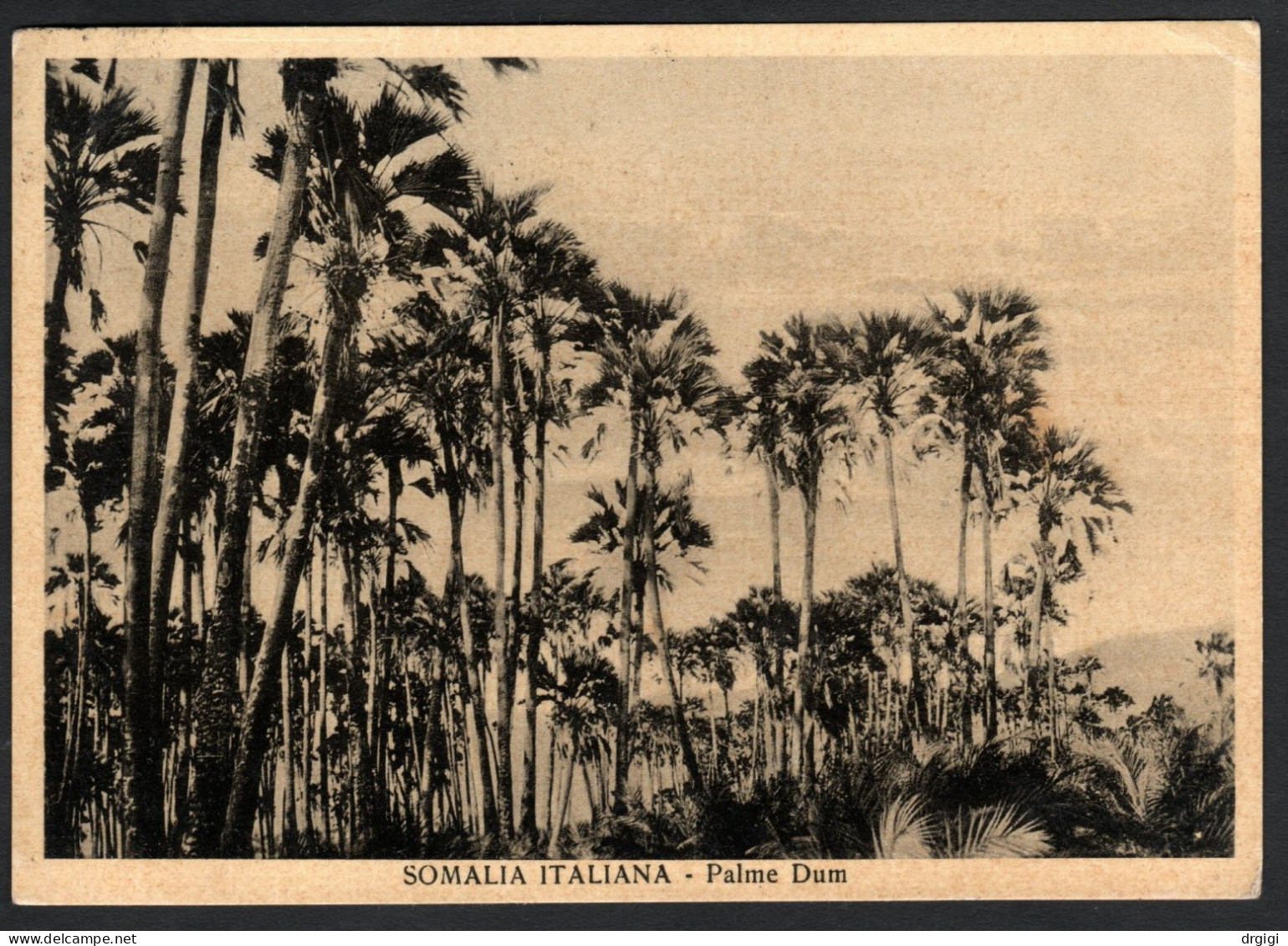 SOMALIA ITALIANA, CARTOLINA 1938, SASS. 1 ETIOPIA, DAGABUR X UDINE, RARO - Somalië